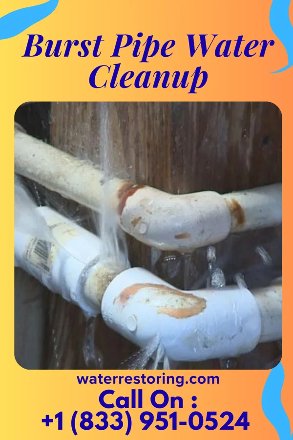 Burst Pipe Water Cleanup in Morgandale, OH