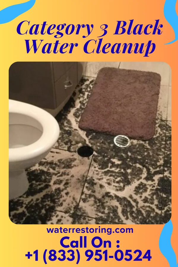 Category 3 Black Water Cleanup in Morgandale, OH