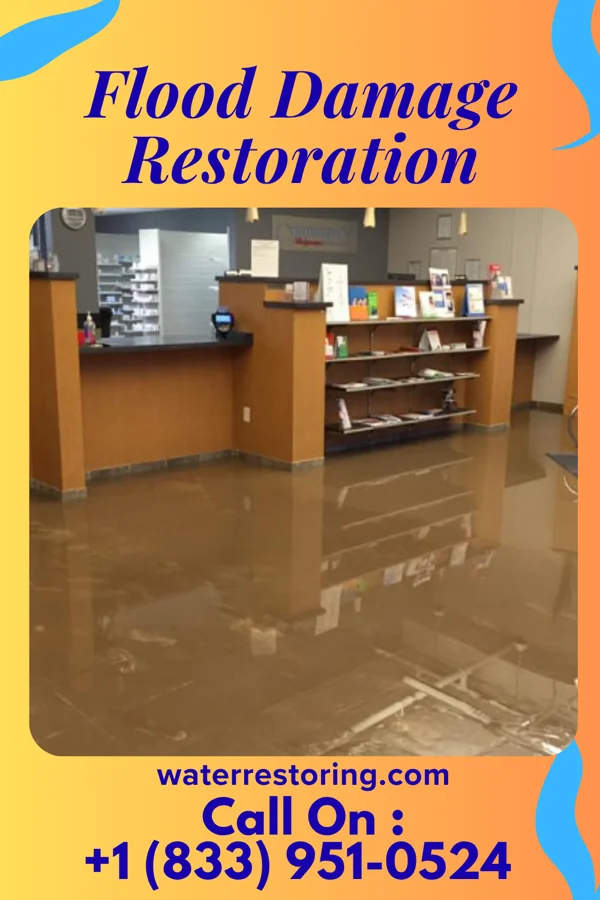 Flood Damage Restoration in Morgandale, OH