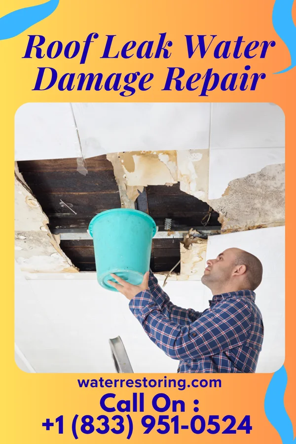 Roof Leak Water Damage Repair in Morgandale, OH