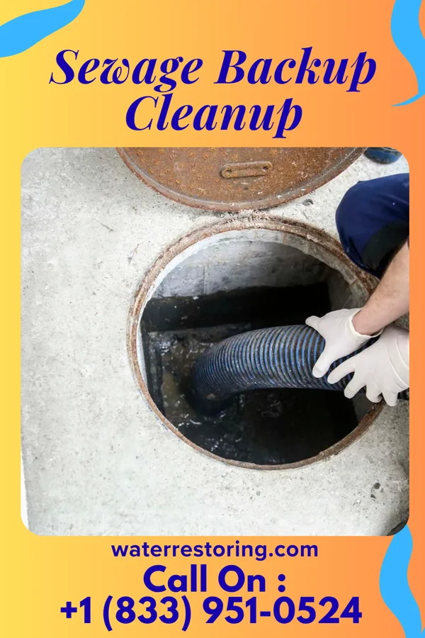 Sewage Backup Cleanup in Morgandale, OH