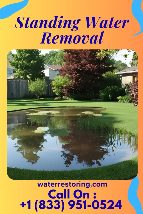 Standing Water Removal in Morgandale, OH